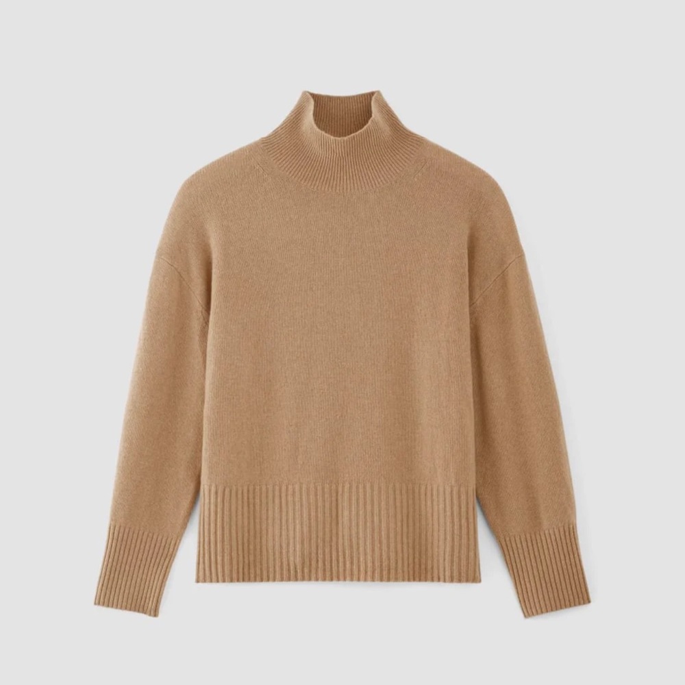 Everlane Cashmere Turtleneck Sweater